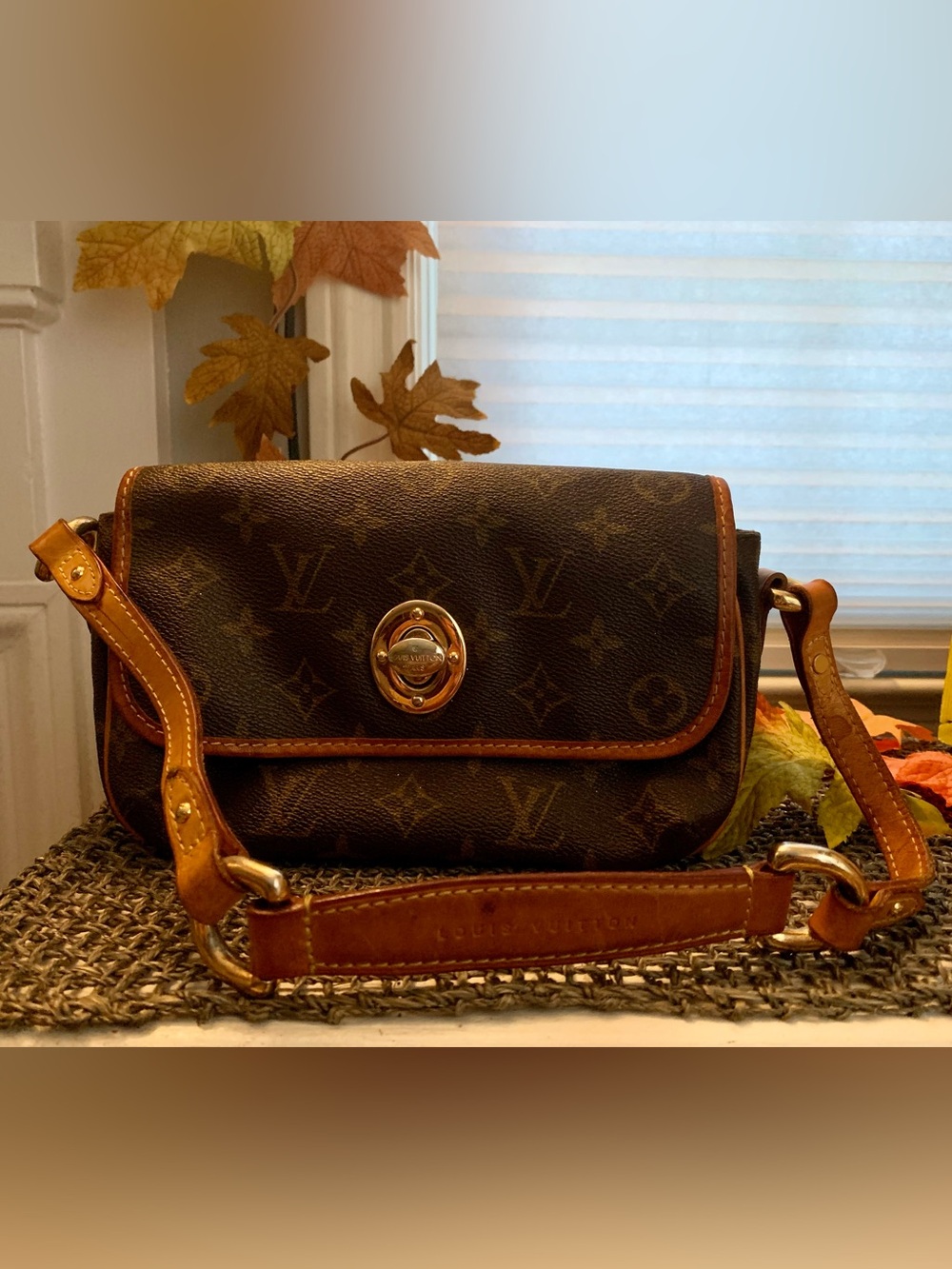 Vintage (2005) Louis VuittonMonogram Canvas Tikal PM Bag